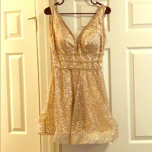 Formal/Cocktail Dress